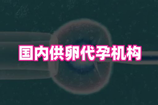 香港助孕网 3